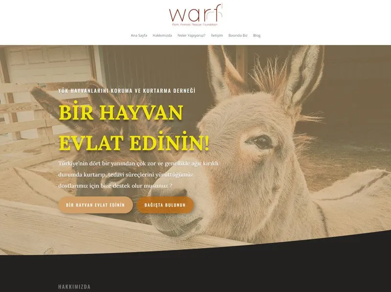 Home page of the YHKKD animal welfare association website built by Radar WFP